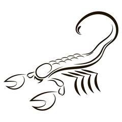 Scorpion illustration from horoscope isolated on white background. Poisonous Animal Icon.
