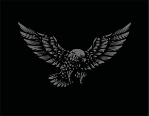 Eagle, raptor