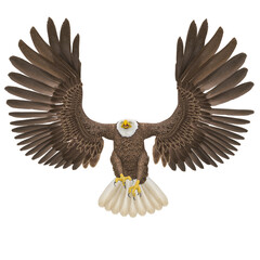 american bald eagle is landing in white background