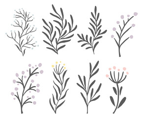 Fototapeta na wymiar Botanical branches set. Decorative floral print elements