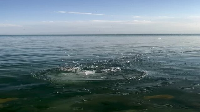 Vertical slow-mo shot of rocks being thrown into the water