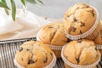 Chocolate chip muffins on a baking rack and glasses of milk on a white kitchen countertop.  Morning breakfast table