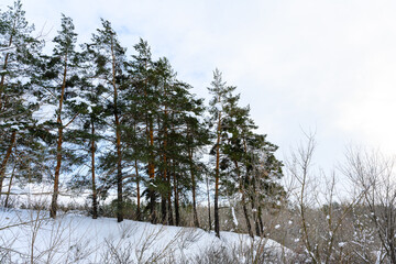 Winter christmas idyllic landscape.