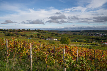 Herbst in Rheinhessen, Oktober 2022