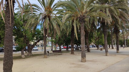 mataro spanien katalonien urlaub sommer küste