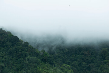 Manuel Antonio National Park Costa Rica