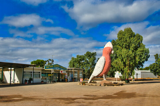 Kimba, Australia, 3-25-2011. Statue of the Big Galah on a square of the South Australian town of Kimba, one of the many 'big things' in Australia
