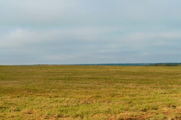 field and sky