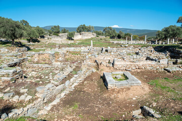 Ruins of agora of Iasos ancient site in Mugla province of Turkey.