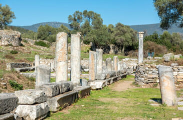 Ruined columns at the agora of Iasos ancient site in Mugla province of Turkey.