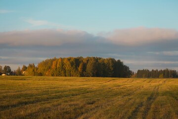 Naklejka premium autumn landscape with fog