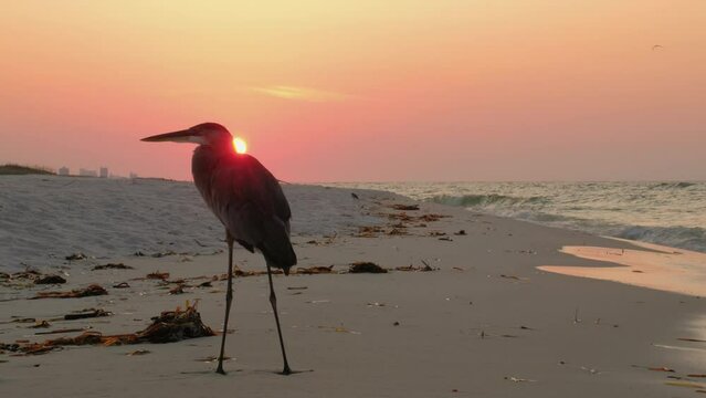 Sunrise at Pensacola Beach, Florida