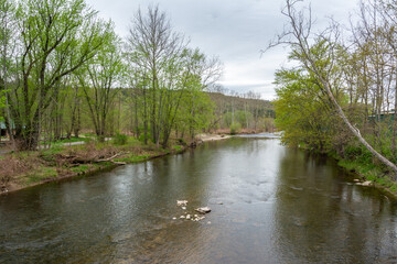 Fototapeta na wymiar Callicoon Creek in Callicoon, New York.
