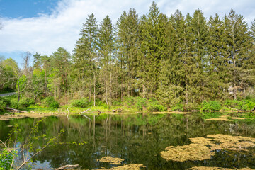 Obraz premium A pond in Walpack on the New Jersey side of Delaware Water Gap National Recreation Area in USA.
