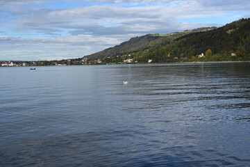 lake Constance in Austria,  cloudy sky, cold autumn day