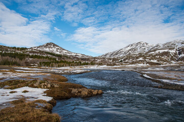 Winter day in the forestry area of Haukafell in Iceland