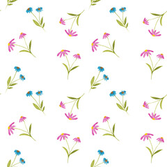 Fototapeta na wymiar watercolor seamless pattern with meadow wild flowers, pink and blue daisies. For decoration and design. Printing on postcards, paper, packaging, fabric. Wedding, romantic, natural style. Spring.