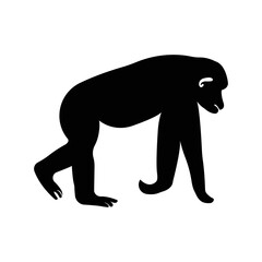 Wild animal vervet monkey icon | Black Vector illustration |