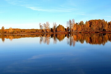 Trees, shrubs and coastal vegetation on the shore of a picturesque lake in multi-colored autumn colors. Unique image of wildlife