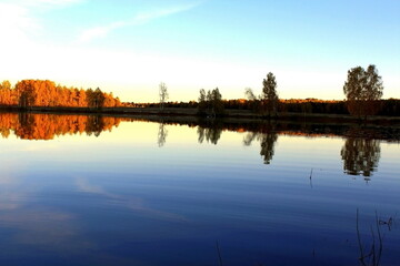 Trees, shrubs and coastal vegetation on the shore of a picturesque lake in multi-colored autumn colors. Unique image of wildlife