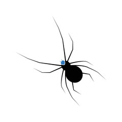 Arachnid widow bug spider icon | Black Vector illustration |