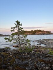 sunset over the river
