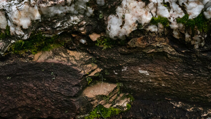 quarts on moss