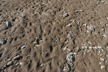 Close-up of the sandy riverbank. Textured natural background. Sandy riverbank on a clear day.