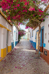 Fototapeta na wymiar Colorful and flowery streets of the village of Ferragudo, Algarve, Portugal