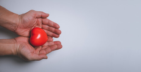 Hands holding and giving red heart for love, health care, organ donation, world heart day, world health day, mindfulness, well being, family insurance concept, copy space.