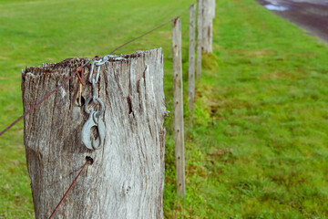 old wooden fence on a meadow