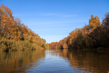 Autumn landscape. Yellow trees on the bank of a forest river at sunset. Landscape in warm colors