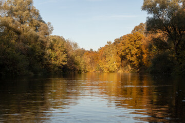 Fototapeta premium Autumn landscape. Yellow trees on the bank of a forest river at sunset. Landscape in warm colors of sunlight
