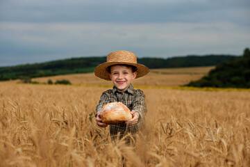 Little boy in the straw hat and shirt he held out his handing with bread in ripe grain. concept...