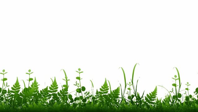 Animated cartoon background. Looped animation of grass. Video animation with grass leaves growing and moving in the wind. Flat footage. side view. 4K seamless loop video footage