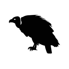 Vulture animal prey bird icon | Black Vector illustration |