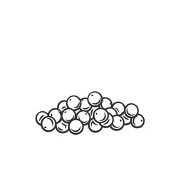 Millet cereal crop grain, outline icon vector illustration. Monochrome drawn ripe seeds millet