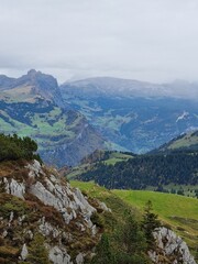 Naklejka premium landscape with mountains