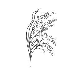 Proso cereal crop plant, outline icon vector illustration. Line hand drawing of proso - obrazy, fototapety, plakaty