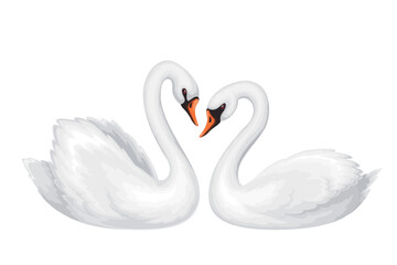 Couple of swans vector illustration. Cartoon isolated two beautiful white birds swim together, cute symbol of love and romance, romantic tenderness and wedding, graceful family of swans in nature