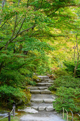 Stone steps leading into a peaceful Japanese garden full of maple trees starting to turn fall colors
