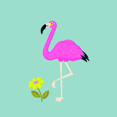 Flamingo Illustration