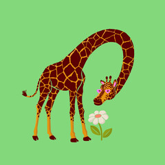 Giraffe Illustration