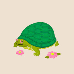 Turtle Illustration