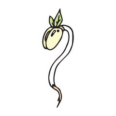 yellow bean sprout cartoon object on white background, vector doodle art