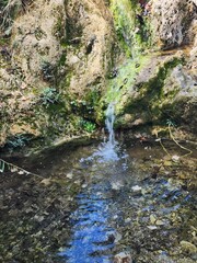 waterfall in the forest