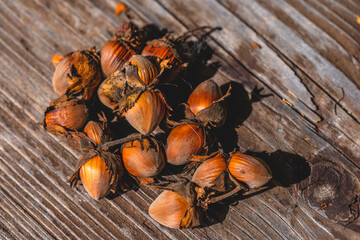 Photo of hazelnut. Hazelnuts in shell on weathered wooden background. Organic food, autumn background concept. Raw and vegan healthy food