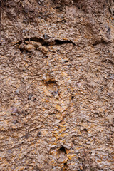 texture of wet sand