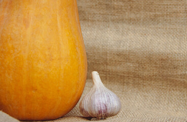 Pumpkin and garlic vegetable on a burlap background. Harvest autumn vegetables. Head of garlic....