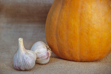 Pumpkin and two heads of garlic on a burlap background. Harvest autumn vegetables. Head of garlic....